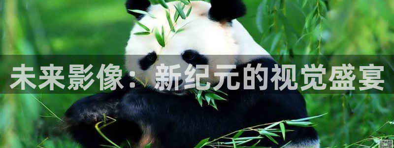 达达兔影院在线观看