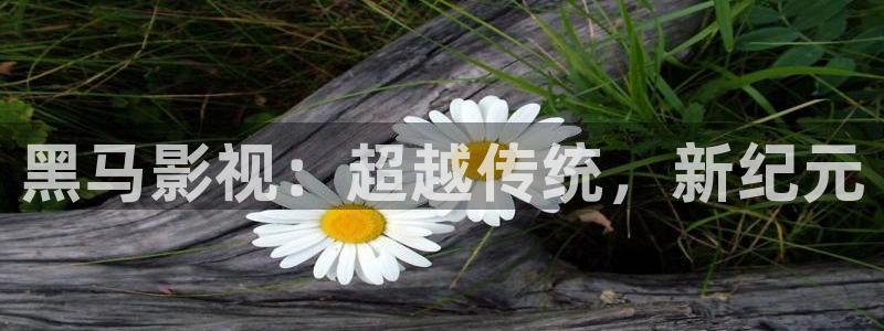神马电影达达兔在线我不卡