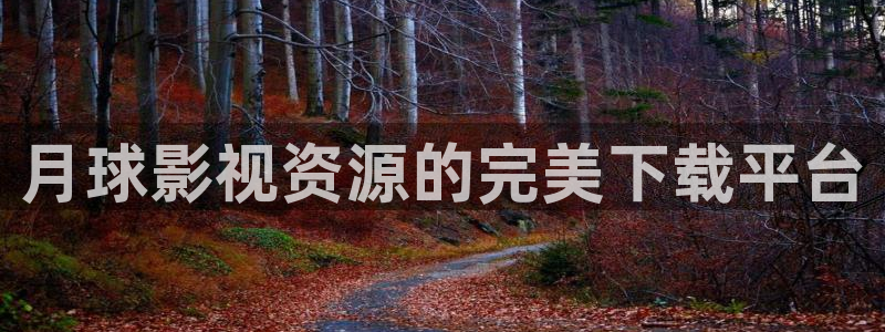 达达兔电影网神马