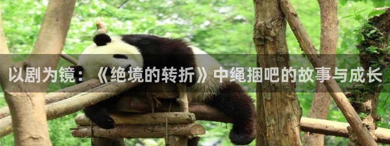 达达兔第九神马午夜影院